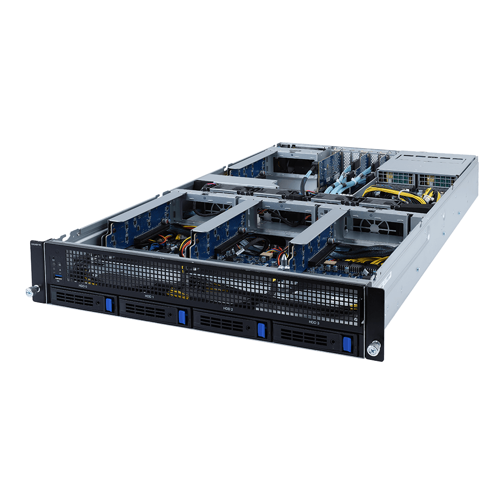 G242-P31 (rev. 100)