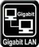 Conectividad LAN Gigabit