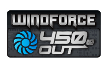 <font color=#3399FF style="font-weight:bold;">NEW WINDFORCE 3X 2 SLOT 450W cooling system</font>
