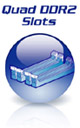 Quad DDR2 Slots