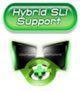 NVIDIA Hybrid SLI Support