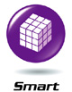 Smart
