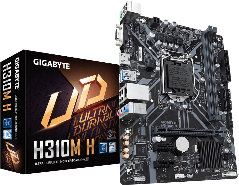 Tarjetas Madre - H310M H