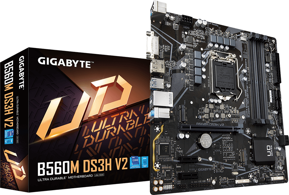 Motherboard - B560M DS3H V2