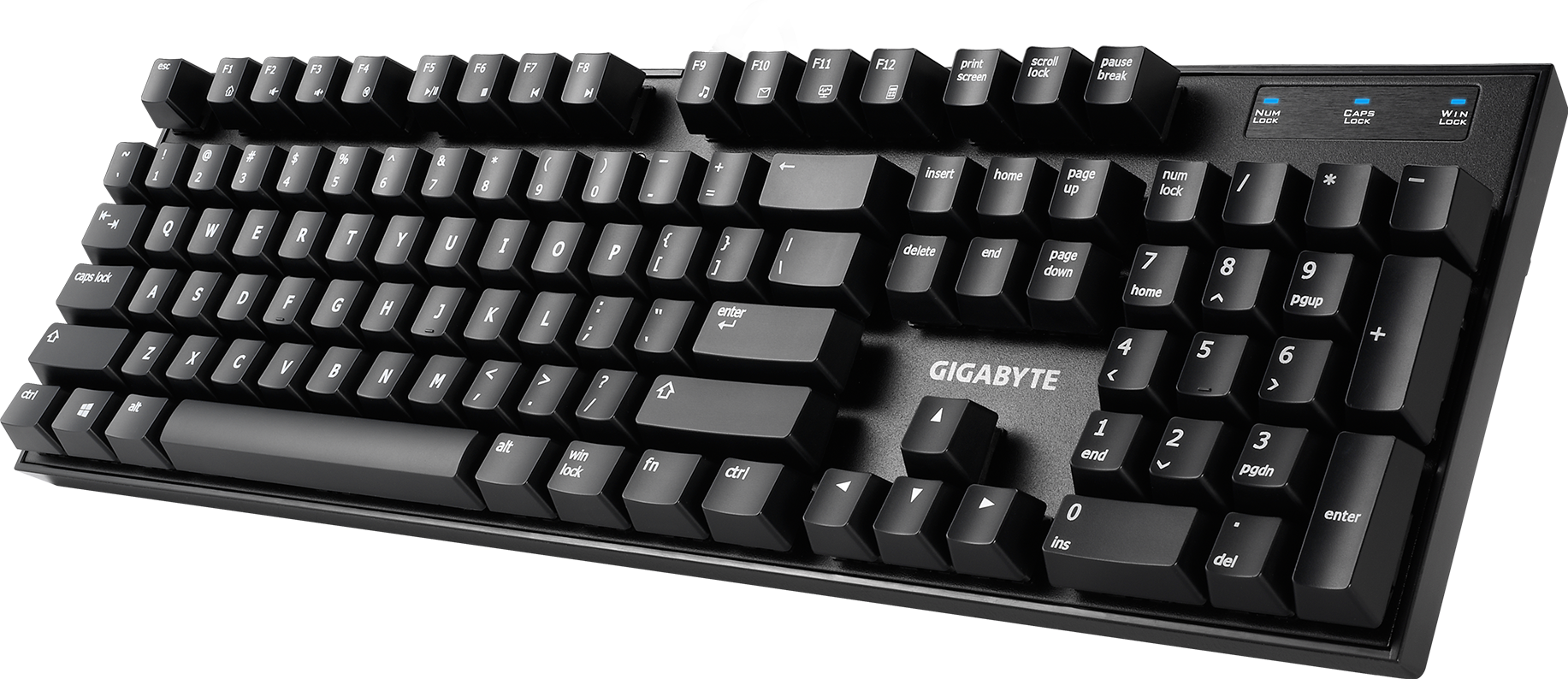 Teclados - FORCE K81