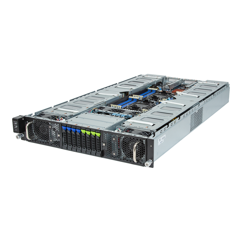 G293-S43-AAP1