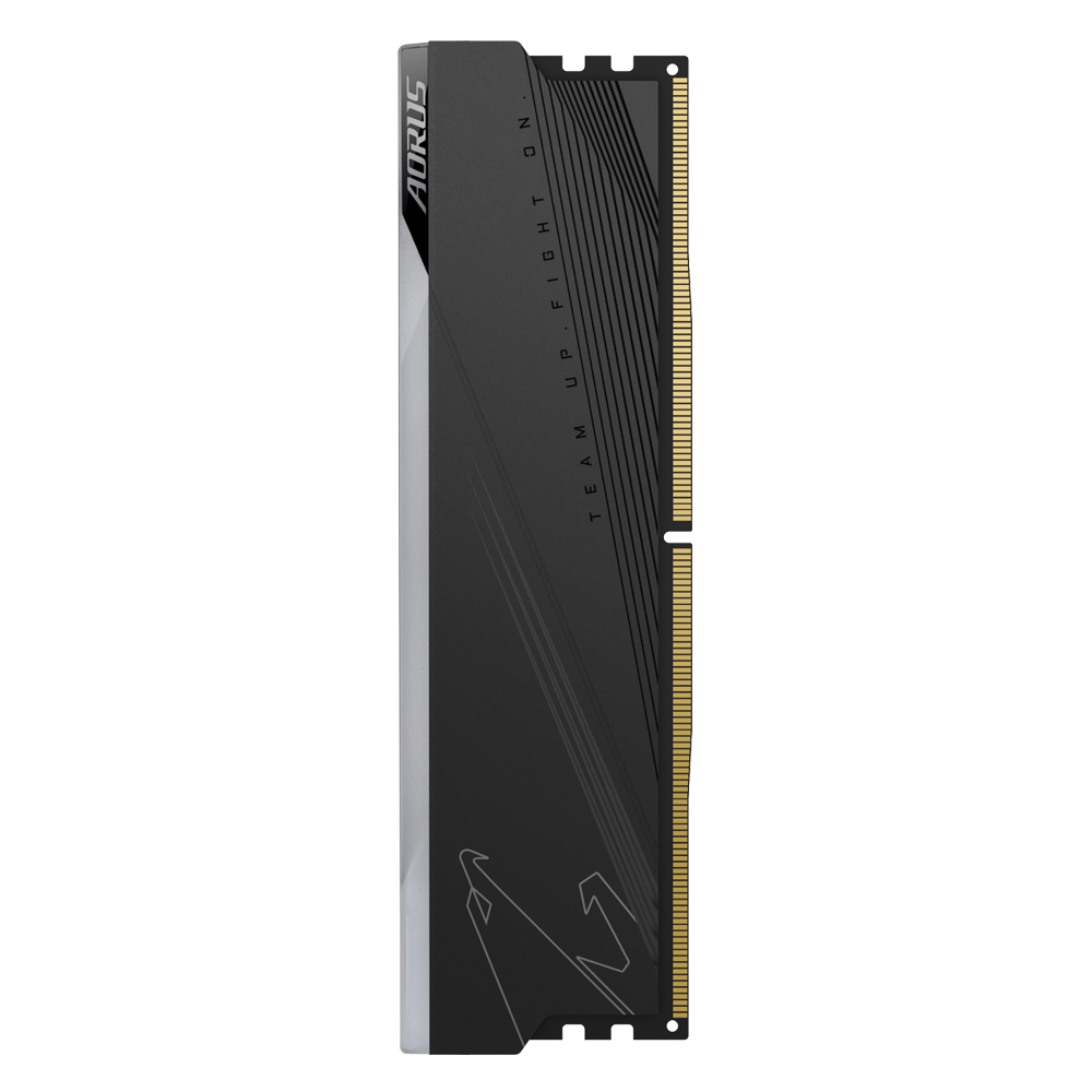 GIGABYTE AORUS RGB DDR5-6000 64GB メモリ AORUS RGB Memory DDR5 32GB (2x16GB) 6000MT/s Key Features