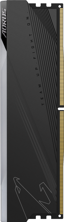 AORUS RGB Memory DDR5 32GB (2x16GB) 6000MT/s - GIGABYTE U.K.