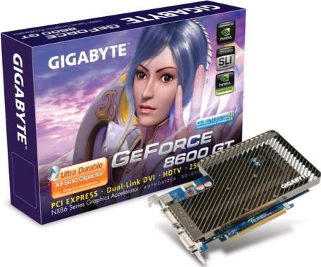 그래픽카드(VGA) - GV-NX86T256H