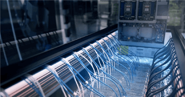 The Best Solution for Pursuing Server Performance and Business Sustainable Development