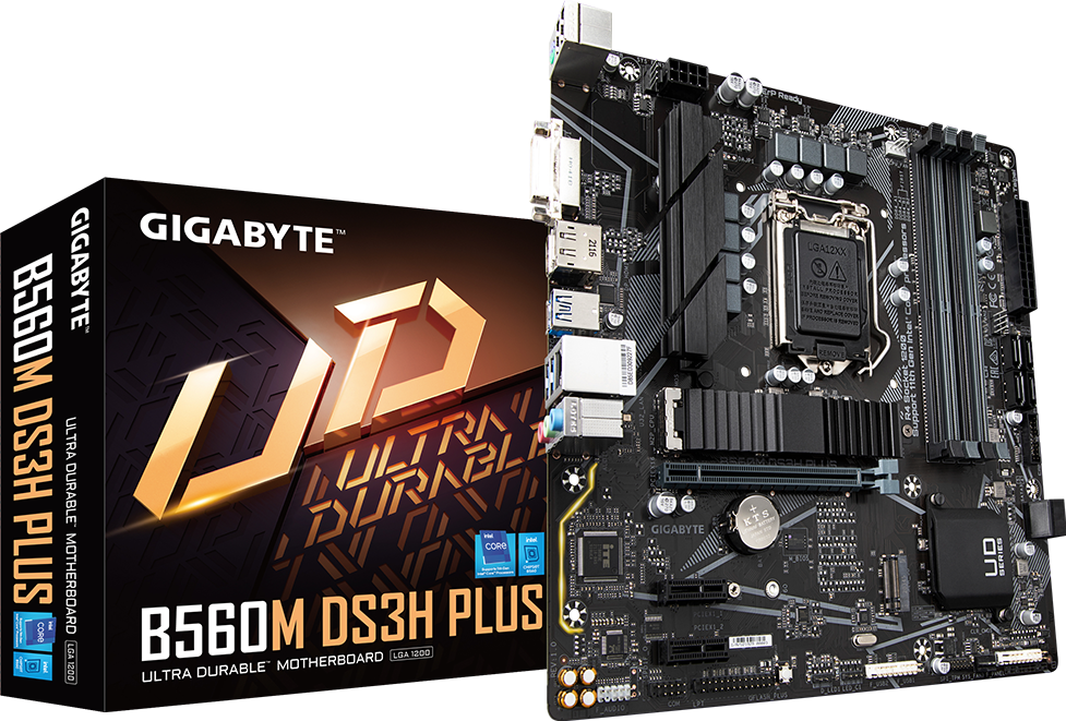 Motherboard - B560M DS3H PLUS