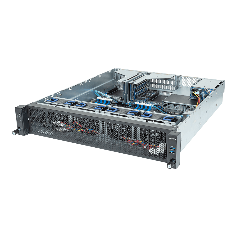 E263-S30-AAV1