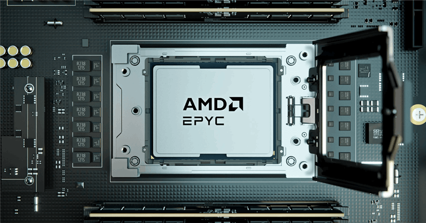 AMD EPYC 8005 & 8004