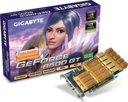 Graphics Card - GV-NX85T256H