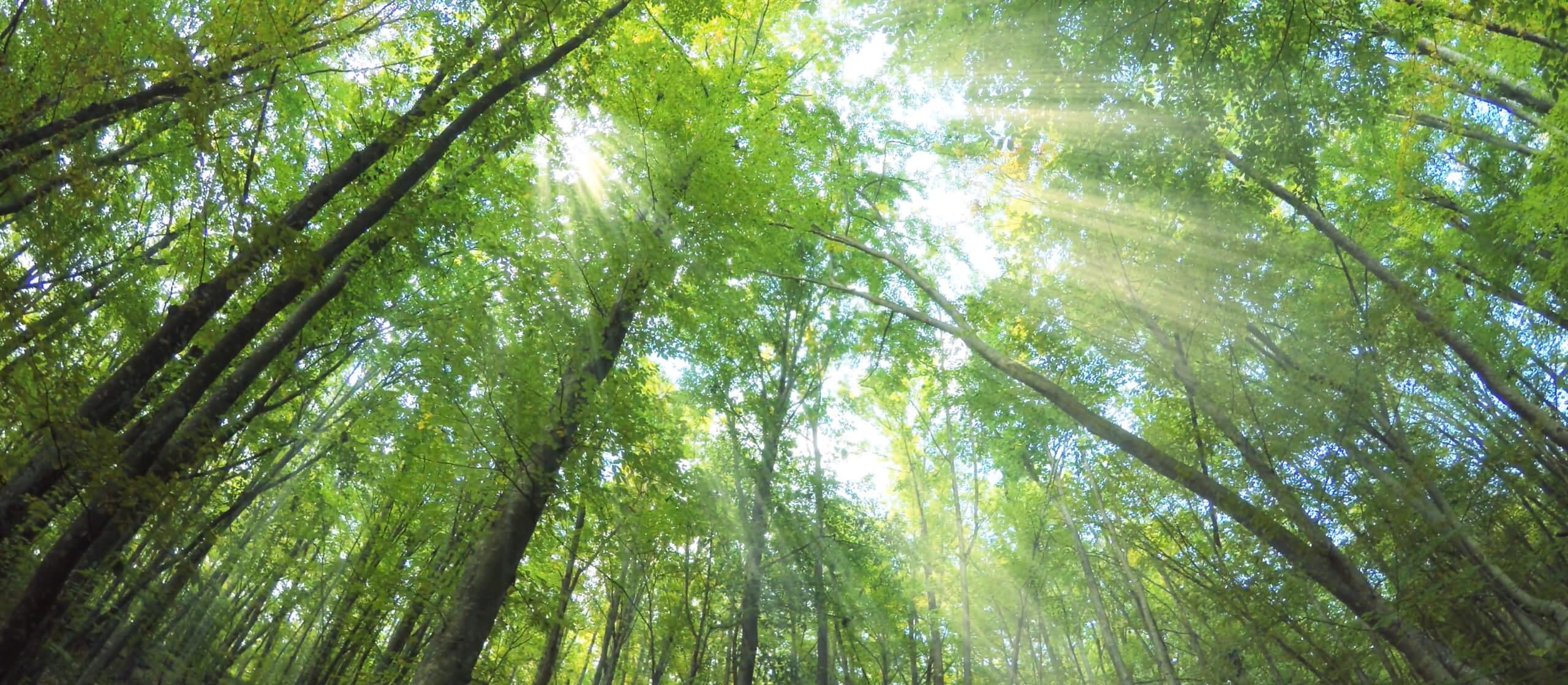 Leaving No Advance Behind 