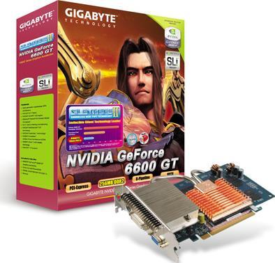 Graphics Card - GV-NX66T256DE