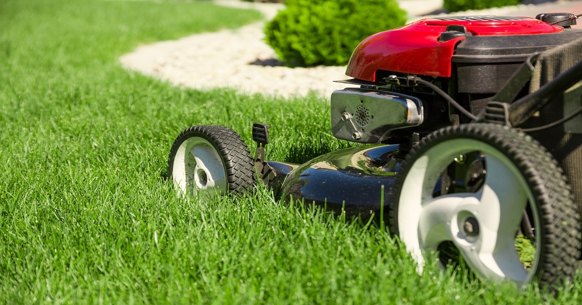 Automated Lawn Mover