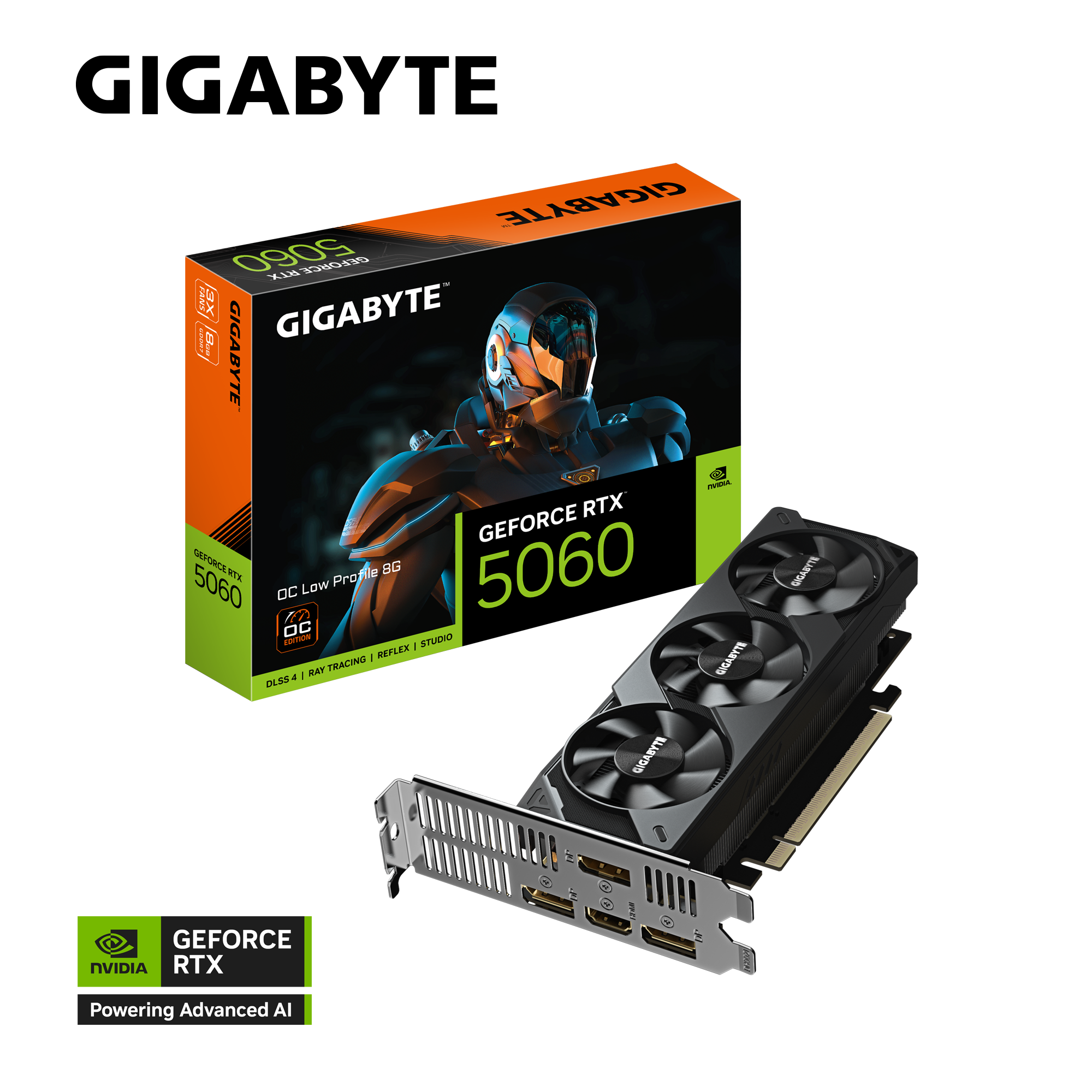 GeForce RTX™ 5060 OC Low Profile 8G｜AORUS - ギガバイト 日本
