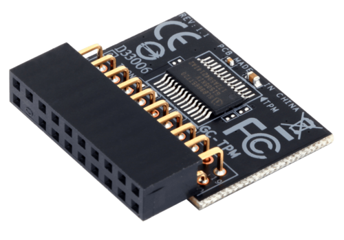 GC-TPM ‏(rev. 1.1)‏ - Accessory