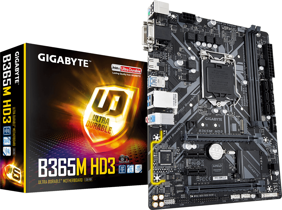 Motherboard - B365M HD3