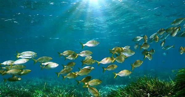 西班牙IFISC用技嘉伺服器　為新冠肺炎、氣候變遷尋求解方