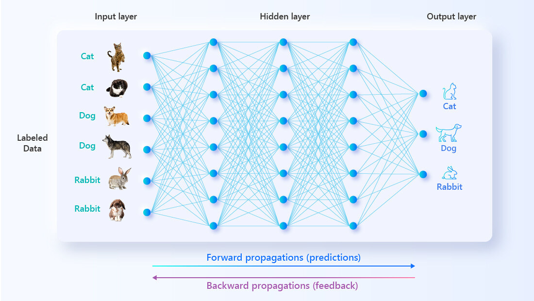 Typically, during the AI training process, a sea of labeled data is poured into the algorithm for it to “study”. The AI makes guesses and then checks the answers to improve its accuracy. Over time, the AI becomes so good at guessing that it’ll always make the correct guess; in other words, it’s “learned” the information that you wanted it to work with.