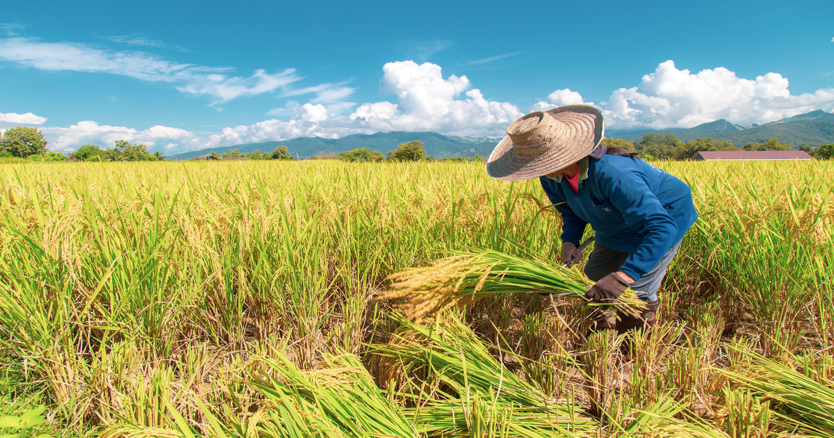 Agriculture , Fisheries