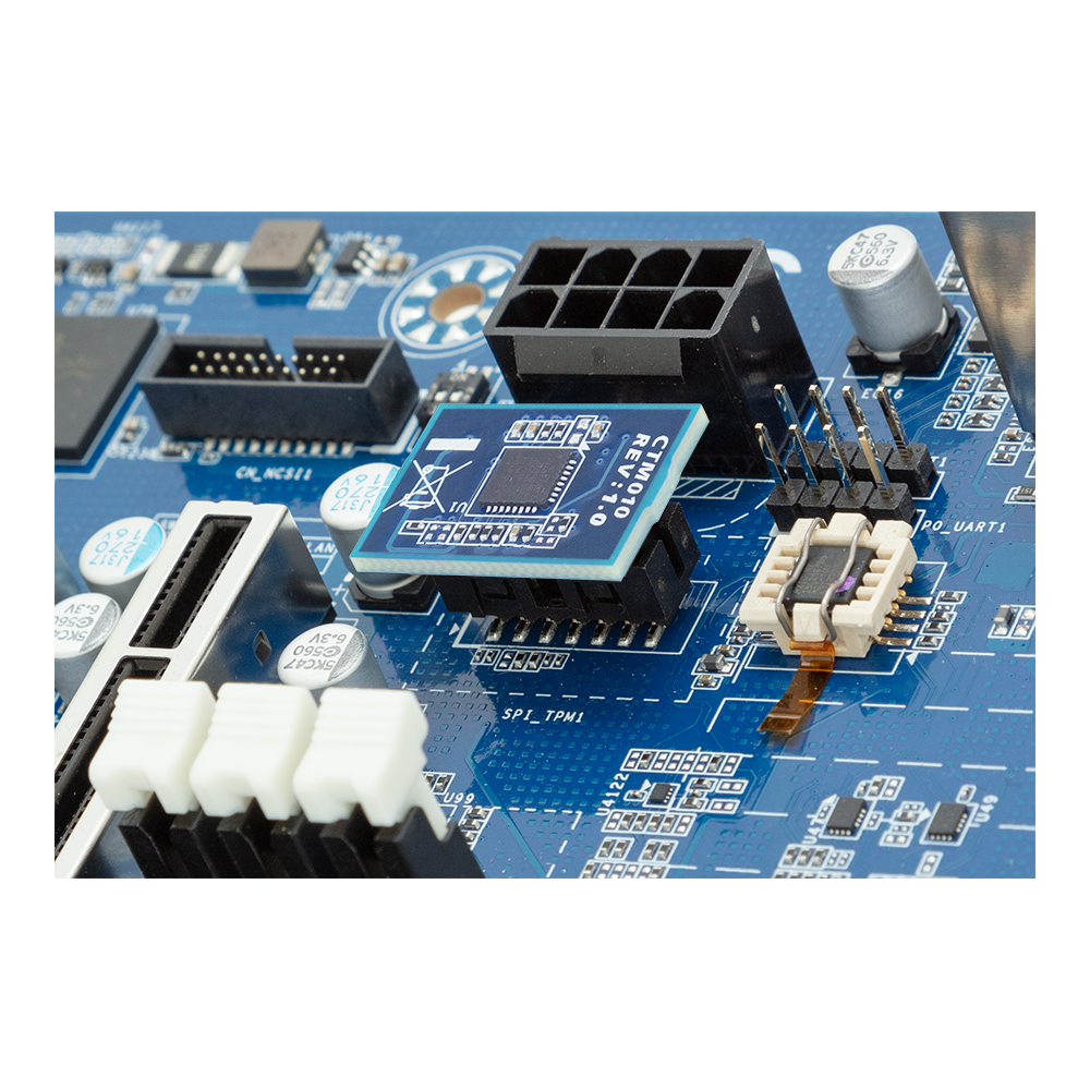 人気の贈り物が大集合 (rev. CTM010 1.0) Modules Expansion & Cards Add-in | ギター