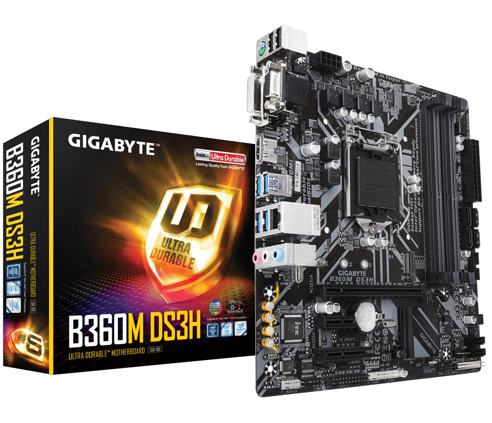 gigabyte b360m ds3h network adapter