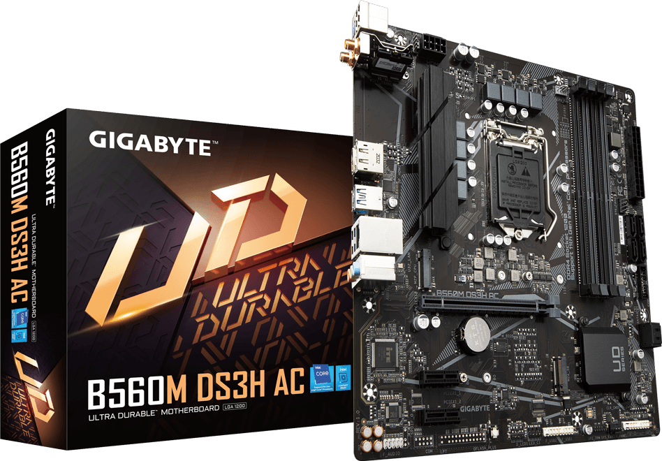 Motherboard - B560M DS3H AC