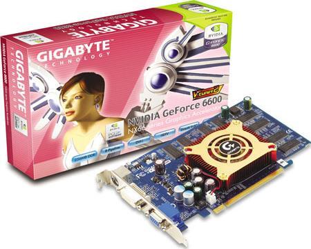 Graphics Card - GV-NX66256D
