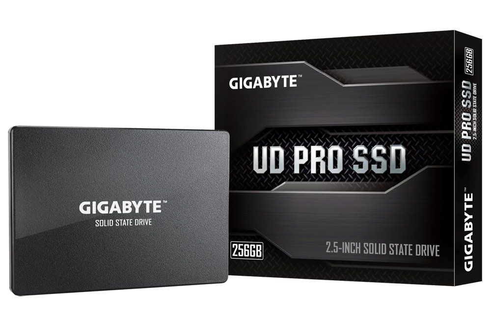 GIGABYTE SSD 256GB Key Features