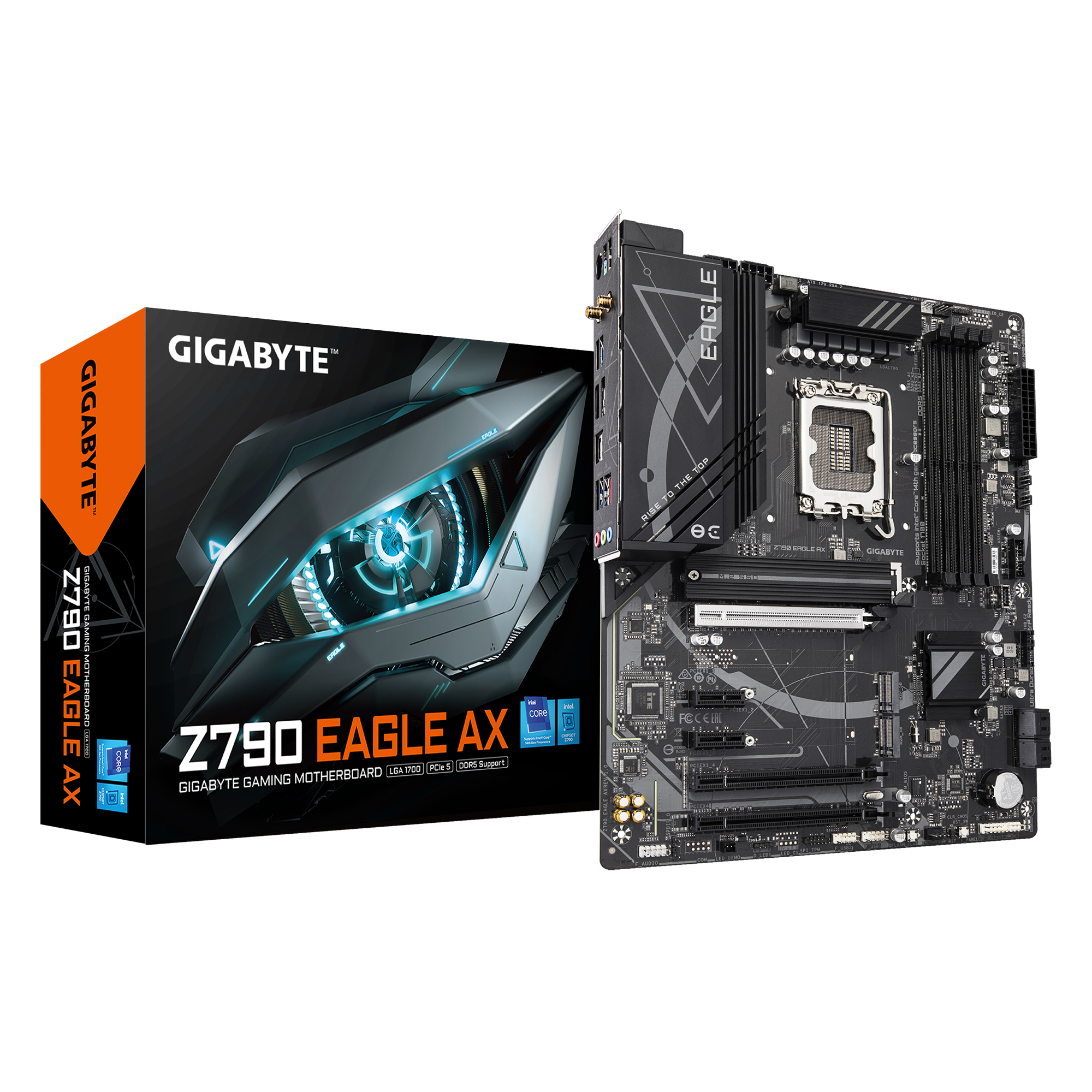 Z Eagle Axaorus Gigabyte Philippines