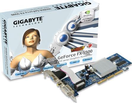 Graphics Card - GV-N55128DS