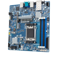 Server Motherboard