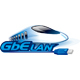 Single Gigabit LAN