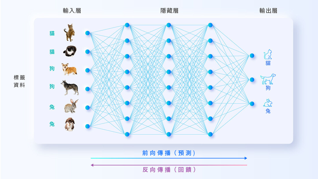 AI訓練階段，海量的標籤化資料灌入演算法中，讓人工智慧「練兵」。AI用這些資料練習猜測、調整參數，並反覆檢查輸出值的正確性，提升猜測的精確度。久而久之，AI「猜」力變得萬無一失，等於是學會了人類希望它辨識的資訊。
